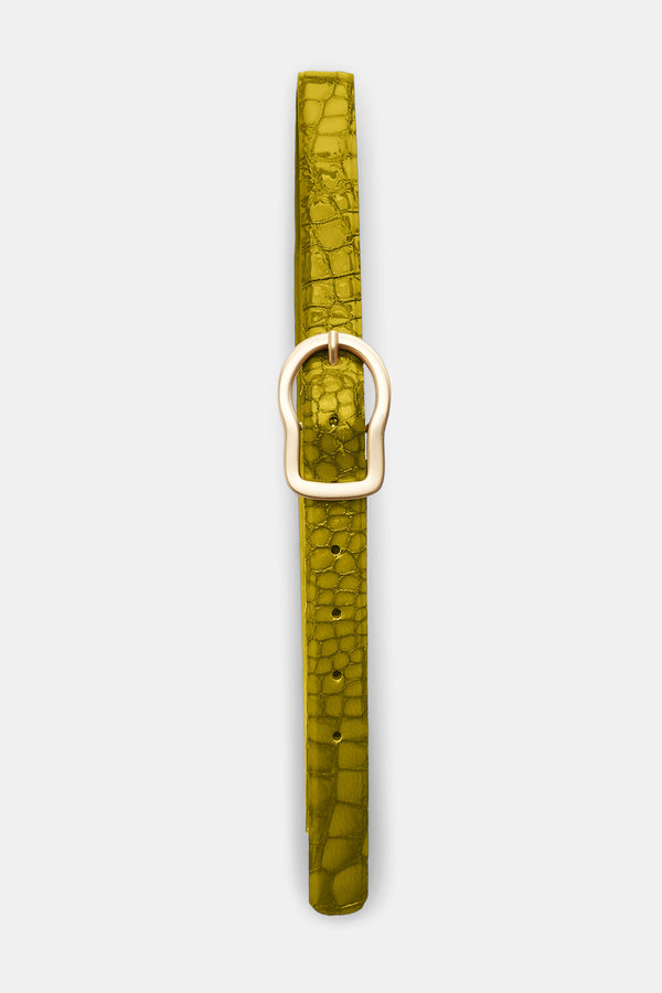 Dorothee Schumacher Reversible Belt With Signature Buckle in Leguan Green