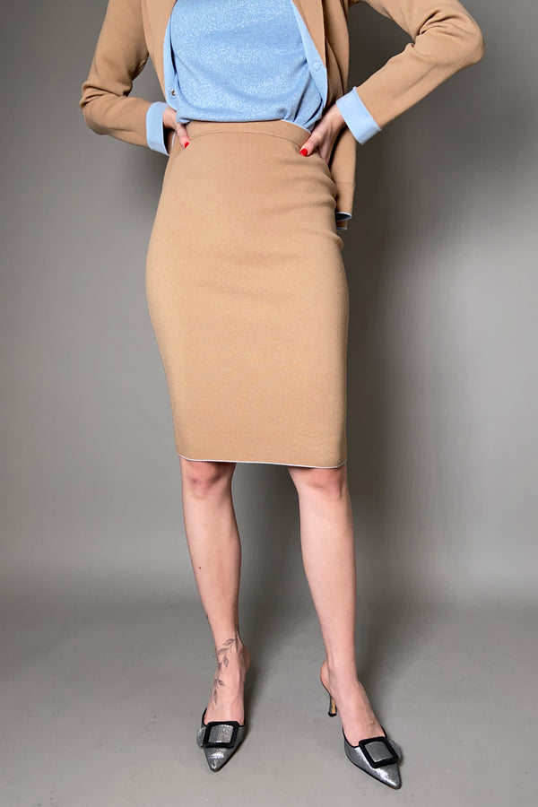 D. Exterior Reversible Knit Pencil Skirt in Sky and Camel